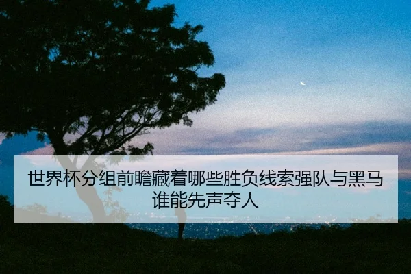 世界杯分组前瞻藏着哪些胜负线索强队与黑马谁能先声夺人